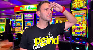 Casino Ao Vivo pgind